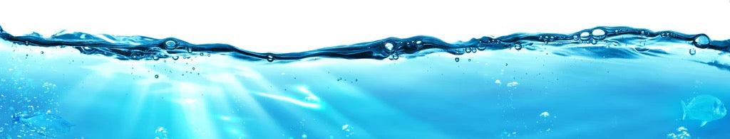 Küchenrückwand - Ozeantiere - Unterwasser