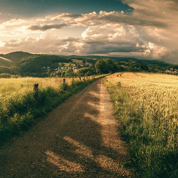 Küchenrückwand - Wanderpfad