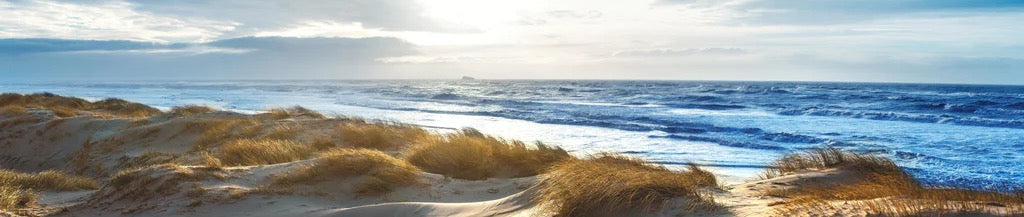 Küchenrückwand - Dänische Nordseeküste