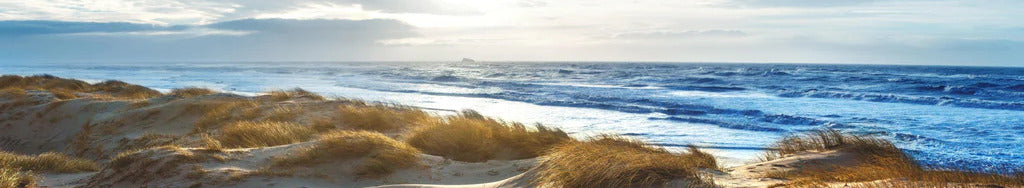 Küchenrückwand - Dänische Nordseeküste