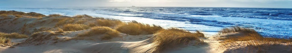 Küchenrückwand - Dänische Nordseeküste