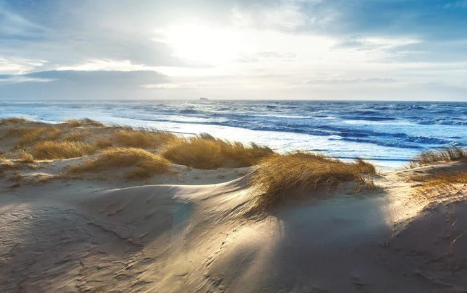 Küchenrückwand - Dänische Nordseeküste