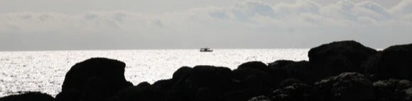 Küchenrückwand - Eigenes Wunsch-Motiv