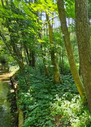 Duschrückwand - Eigenes Wunsch-Motiv