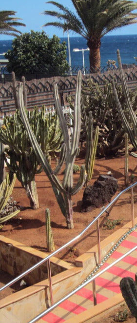 Duschrückwand - Eigenes Wunsch-Motiv