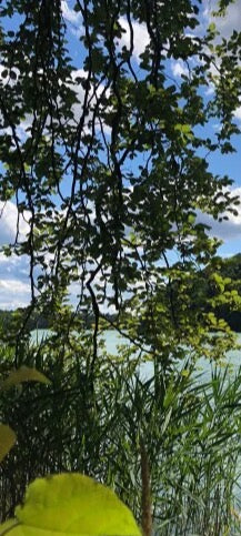 Duschrückwand - Eigenes Wunsch-Motiv