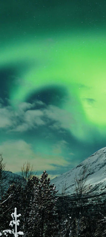 Duschrückwand - Polarlichter über Berg in Nordnorwegen