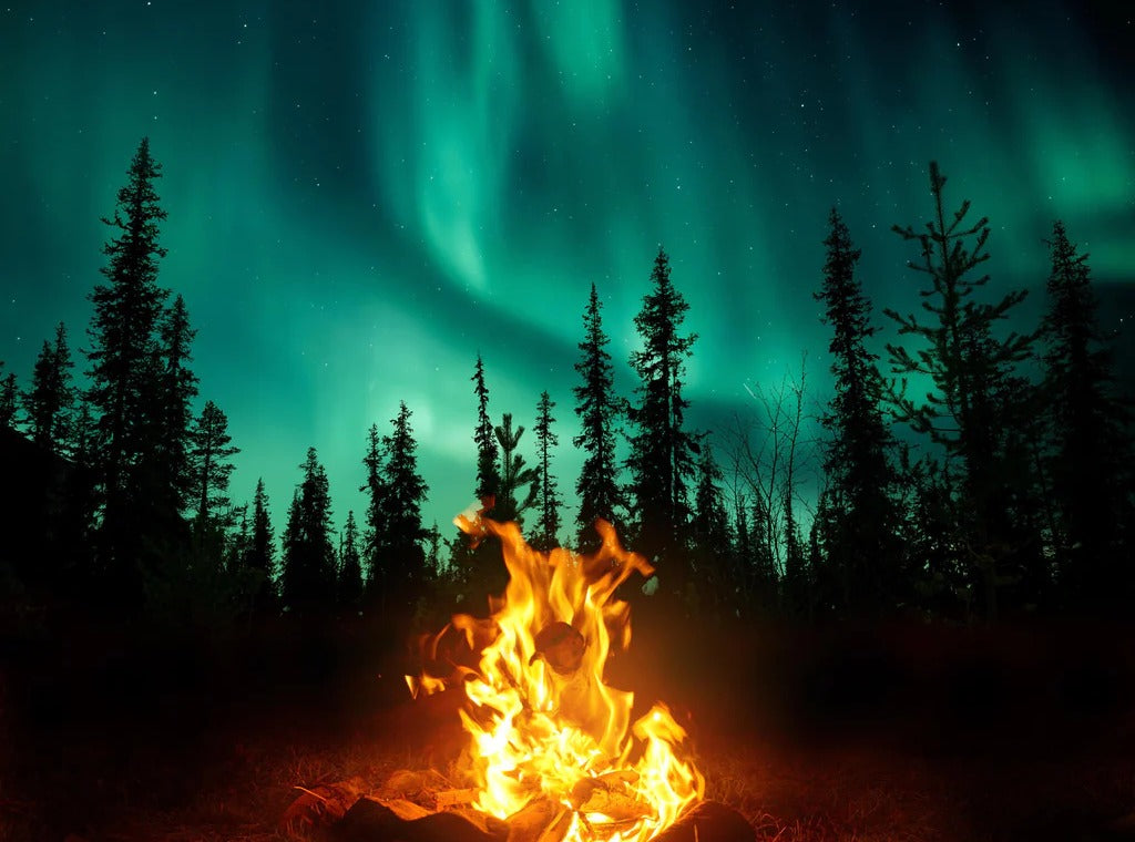 Spritzschutz - Lagerfeuer mit Nordlichtern in den Wäldern Schwedens