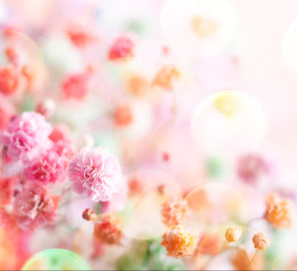 Spritzschutz - Frische rosa Frühlingsblumen