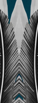 2-51308156944651-44327495237899.png