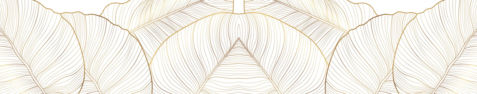 2-52136357593355-46300433875211.png