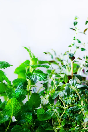 2-52467858931979-44359451476235.png