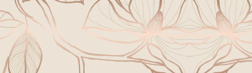 2-52678679953675-44354172027147.png