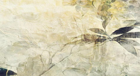2-52723143573771-46216092975371.png