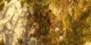 2-52802497249547-44326160793867.png