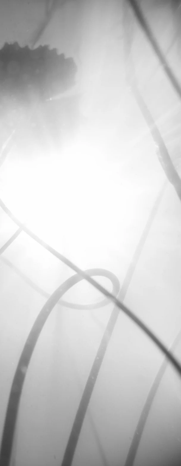 2-52803064037643-46375621820683.png
