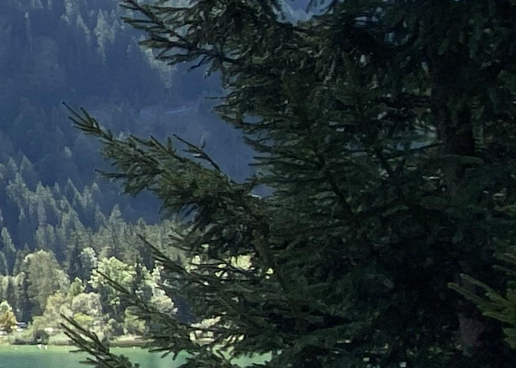 2-52803505160459-40428056740107.png