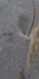 2-52809010381067-44343349117195.png
