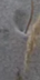 2-52812195987723-44343349117195.png