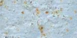 2-52818116247819-44328880537867.png