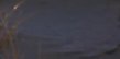 2-52818847269131-48382292295947.png