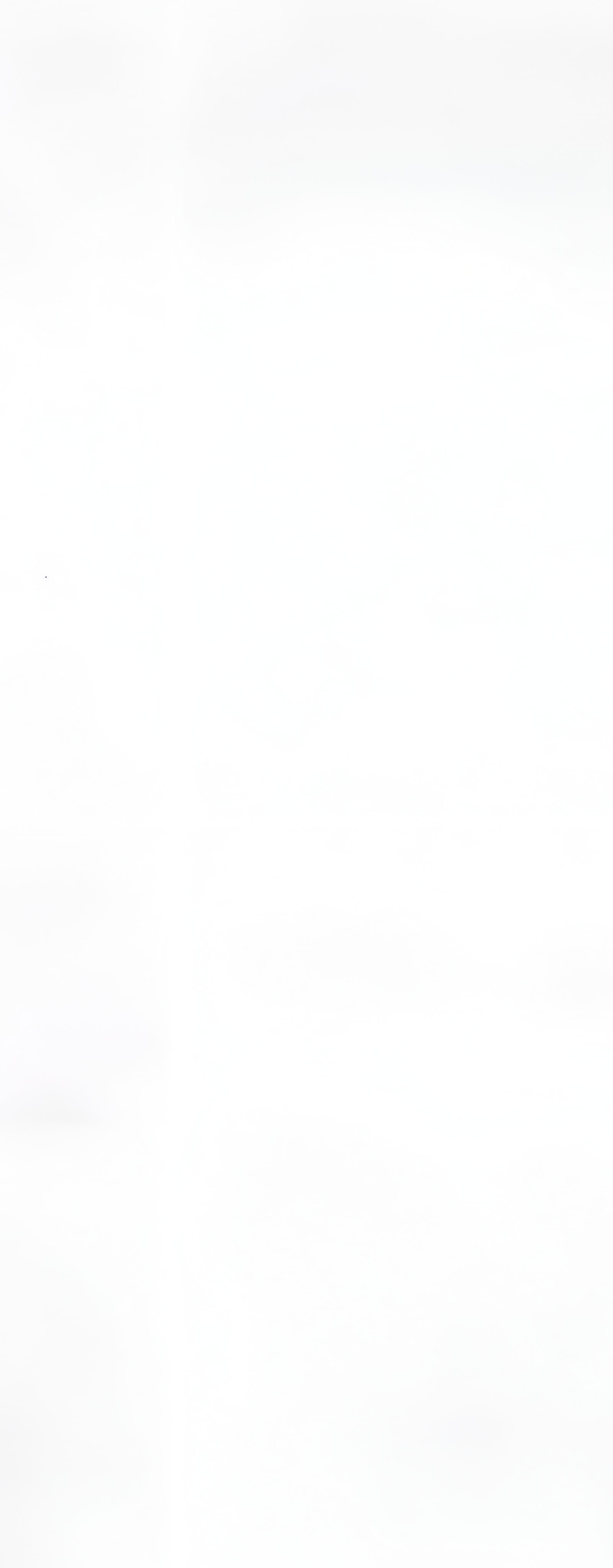 2-52823359389963-40428076204299.png
