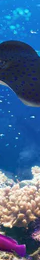 2-52827664777483-44326471860491.png