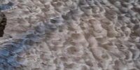 2-52827937898763-46518602629387.png