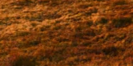 2-52829959127307-44326416679179.png