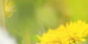 2-52833674428683-60777082650891.png