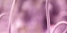 2-52834183807243-44329683812619.png