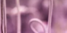 2-52834504474891-44329683812619.png