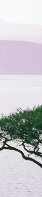 2-52843535532299-45939897565451.png