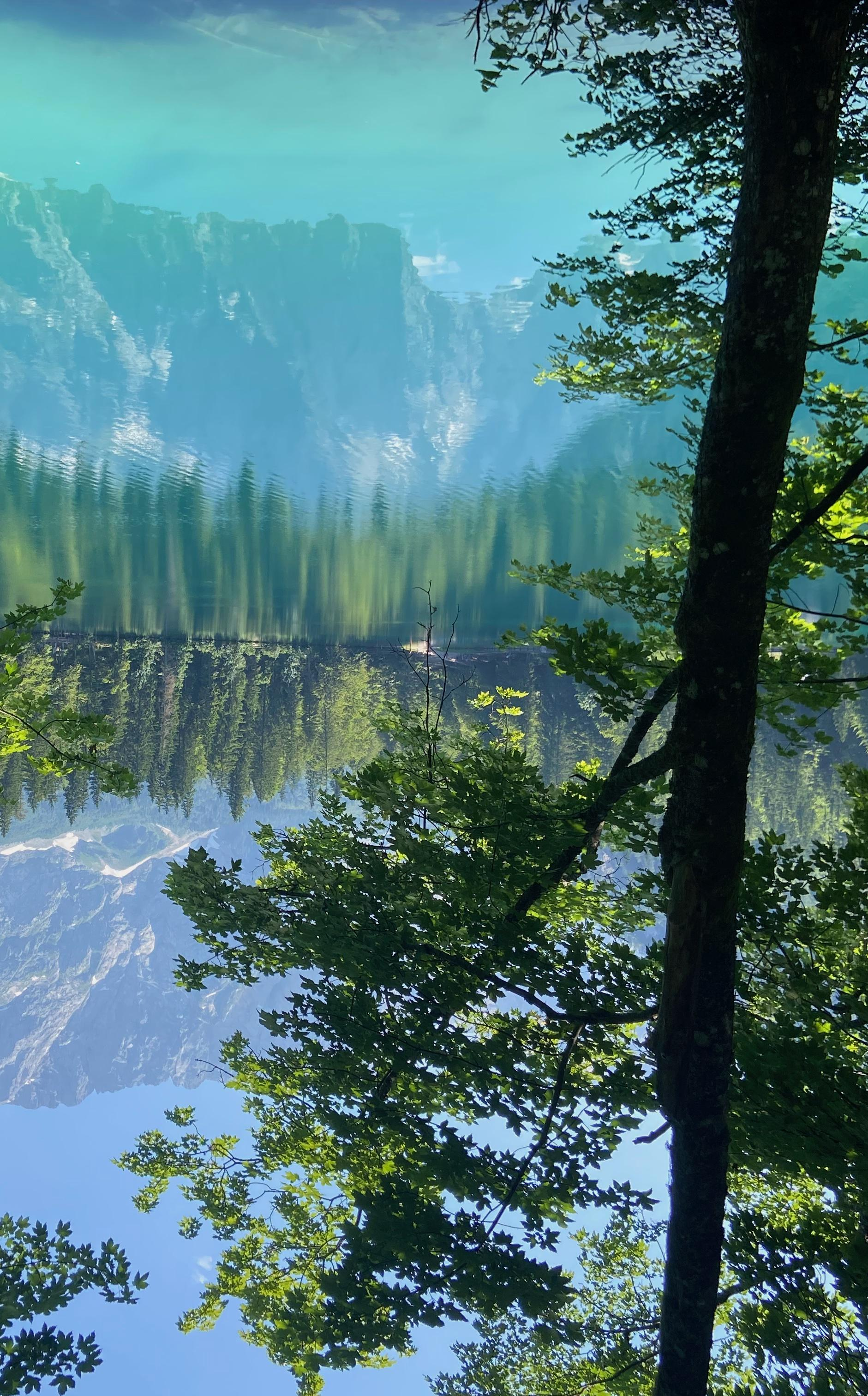 2-52843705073931-40428076204299.png