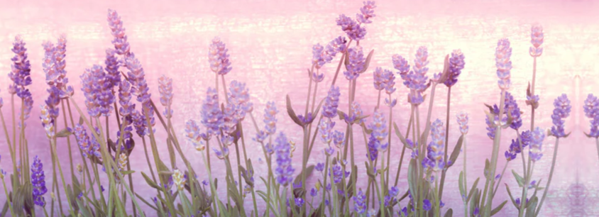 2-52851277431051-60776012546315.png