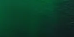 2-52866157674763-44324080451851.png