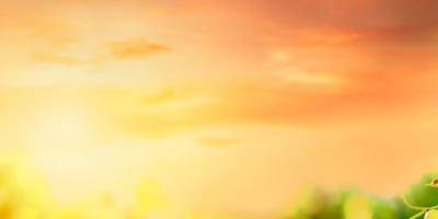 2-52869564662027-60780277694731.png