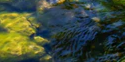 2-52870594691339-44327771111691.png