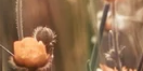 2-52871004651787-44325476761867.png