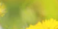 2-52874408132875-60777082650891.png