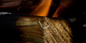 2-52874445029643-44340258996491.png