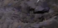 2-52878131822859-44329526558987.png