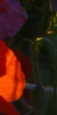 2-52878858813707-44345362972939.png