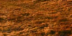 2-52879283716363-44326416679179.png