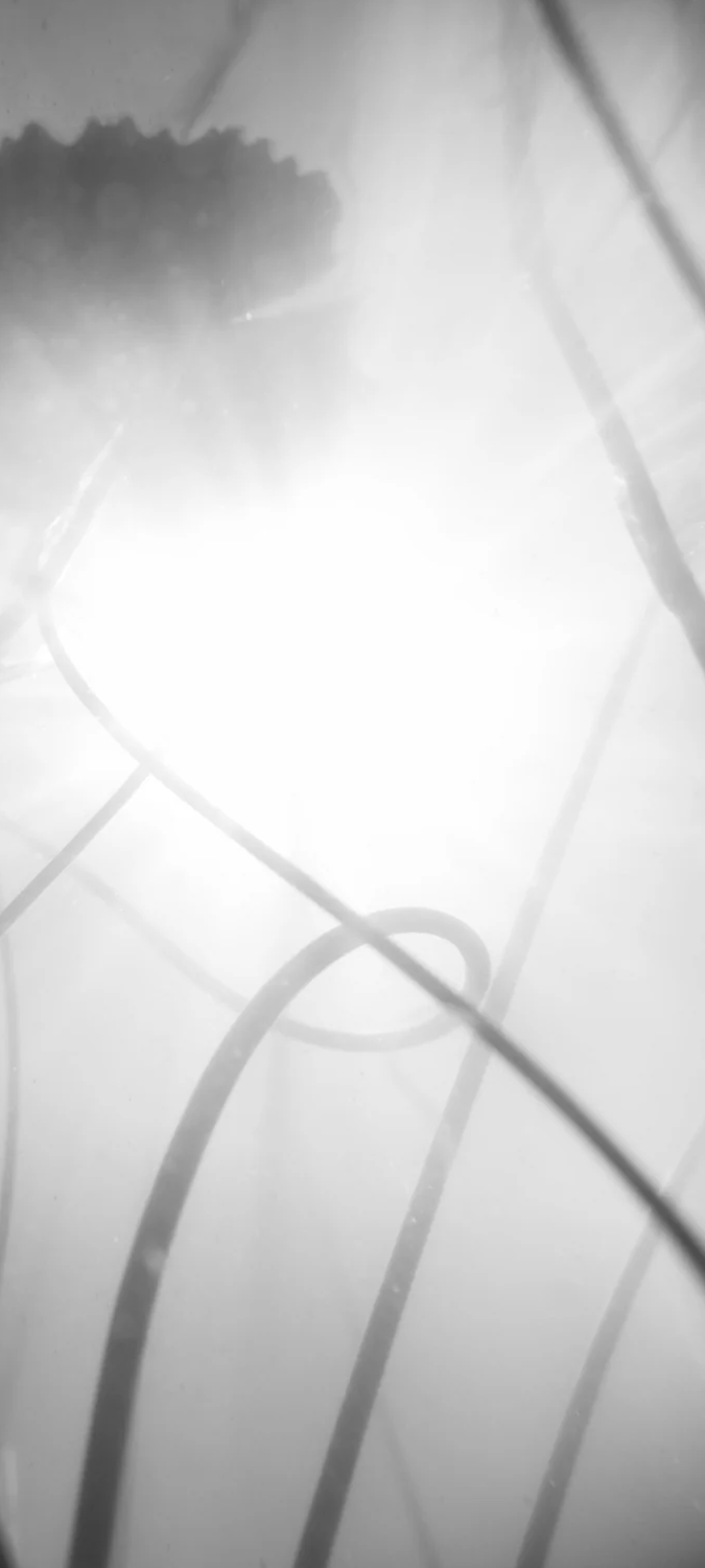 2-52885850718475-46375621820683.png