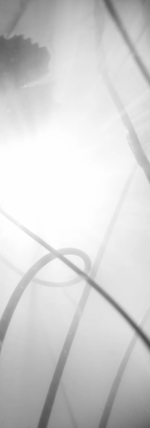 2-52885850816779-46375621820683.png