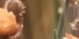 2-52885859139851-44325476761867.png