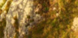 2-52886732538123-44326160793867.png