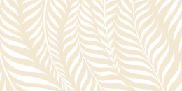 2-52889310462219-50961973870859.png