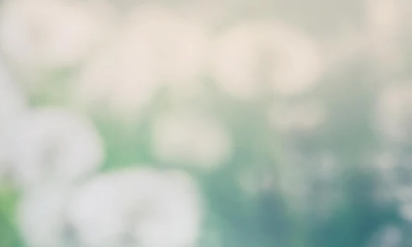 2-52889740116235-60777079898379.png